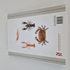 Bok, "Kräftdjur"