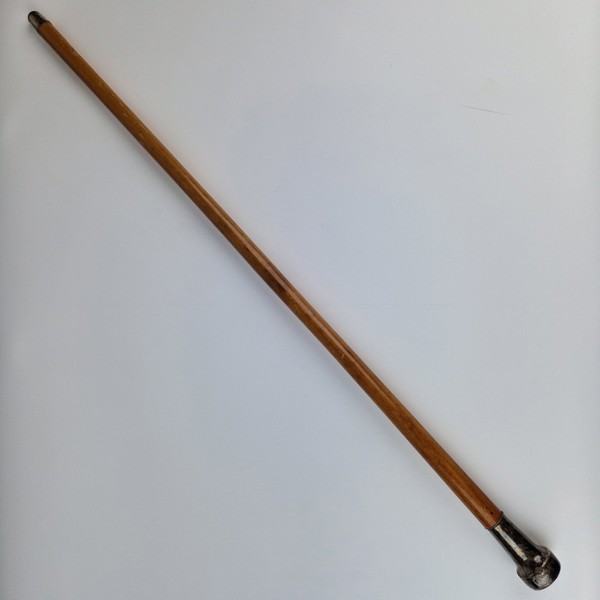 Promenadkäpp med silverknopp