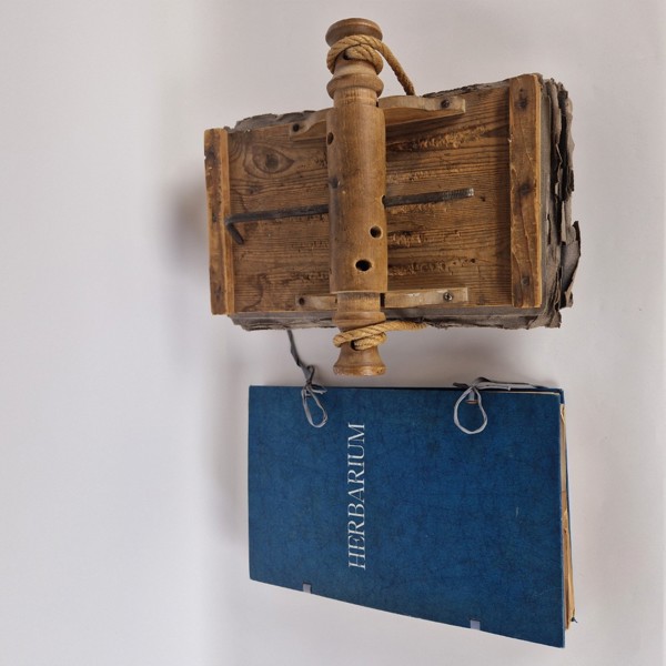 Växtpress och herbarium